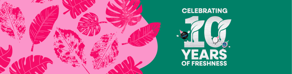 No Pong 10th Birthday Website Banner